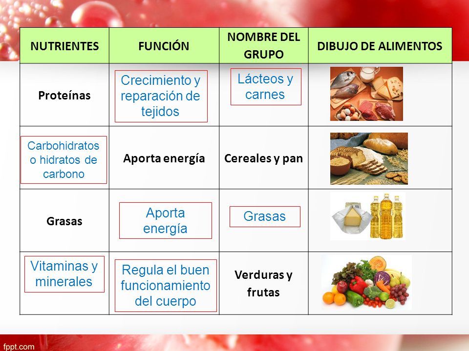 Hidratos de proteinas grasas alimentos contengan y que carbono